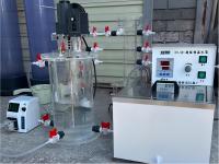 Customized Reactor 6