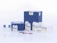 DNA RNA Extraction 1