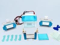 Gel Electrophoresis 3