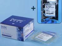 Gel Electrophoresis 4